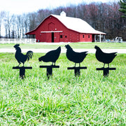 Chicken Stakes